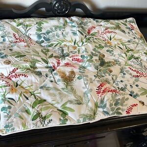 Pottery Barn Teen Noel Botanical Sham standard